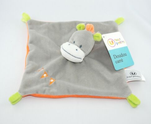  ane cheval plat carré gris orange vert 