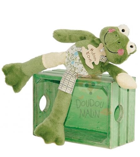  grenouille saltimbanque vert salopette jaune violet 