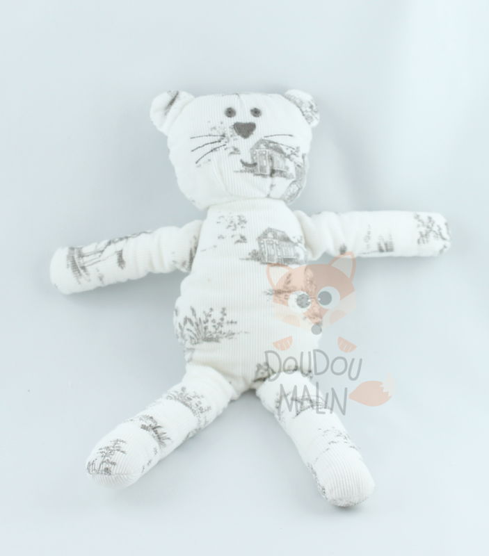  chat blanc gris maison 