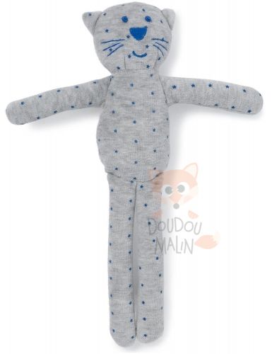  chat gris bleu étoile 