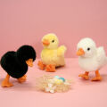 3268060556128 - ptit canetons 