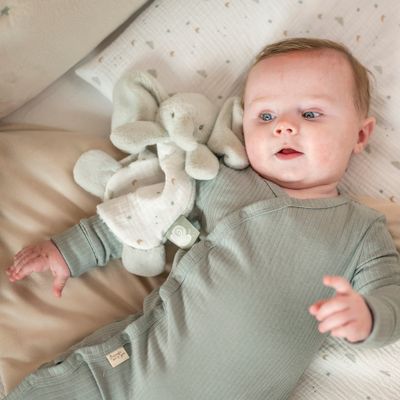  - loulou - éléphant gris 20 cm 