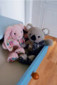  - copains câlins - peluche lapin rose25 cm 