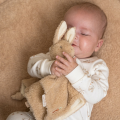  plat lapin beige marron 25 cm 