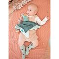  - joe dragon - plat vert en coton biologique 25 cm 