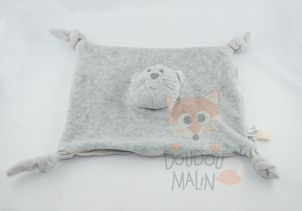  chat plat carré gris 4 noeuds 