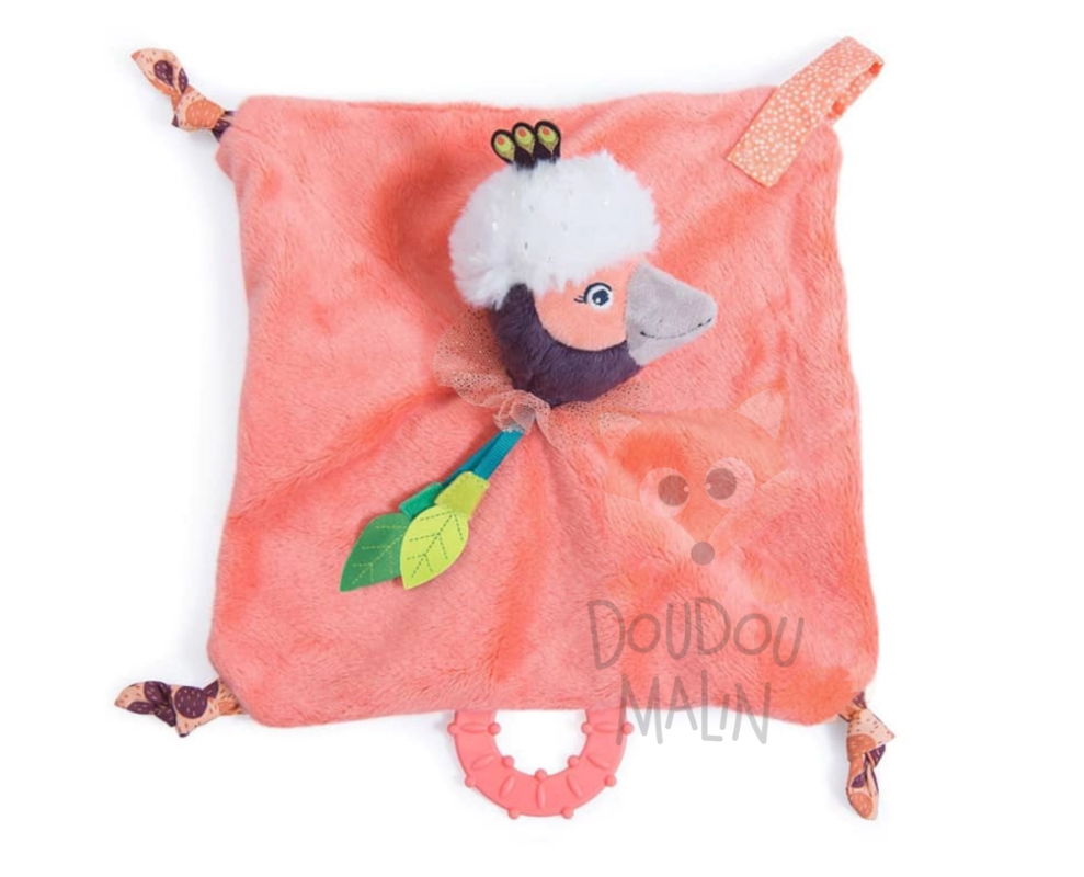 2023-07-05 15_31_44-doudou oiseau paloma dans jungle -  