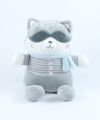  peluche raton-laveur gris blanc bleu 
