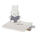 66928 cuddle cloth fluffy blue_1 