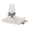 66928 cuddle cloth fluffy blue_1 