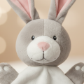 Robin lapin - plat personnalisable 30 cm 