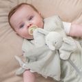  - loulou - plat éléphant vert tilleul 25 cm 
