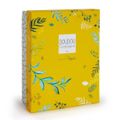   - yoca koala - avec attache-sucette 