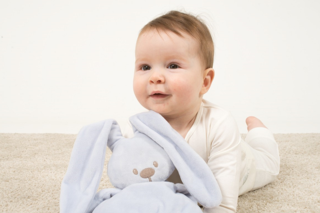 Doudou Lapidou Gris NATTOU, Vente en ligne de Doudou et peluche