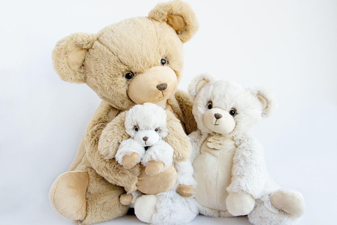 Histoire d'ours peluche softy