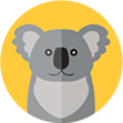 Koala Interactive Koko Calins - MesCadeaux